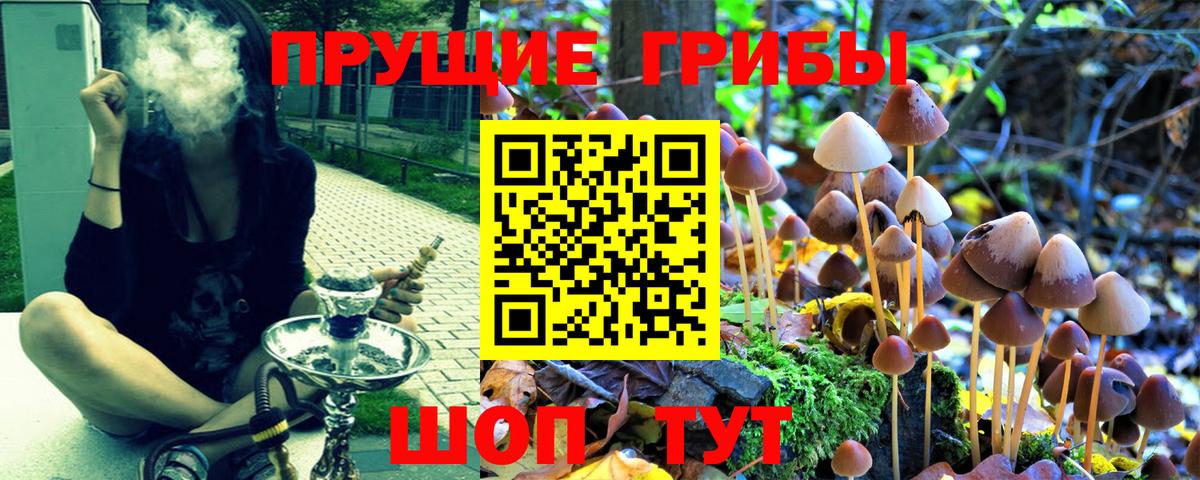 Галлюциногенные грибы ЛСД Кудымкар