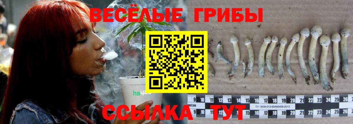 Псилоцибиновые грибы MAGIC MUSHROOMS  Вход с VPN  Кудымкар 